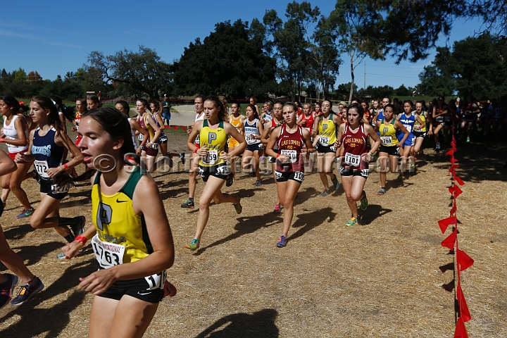2015SIxcHSD3-096.JPG - 2015 Stanford Cross Country Invitational, September 26, Stanford Golf Course, Stanford, California.